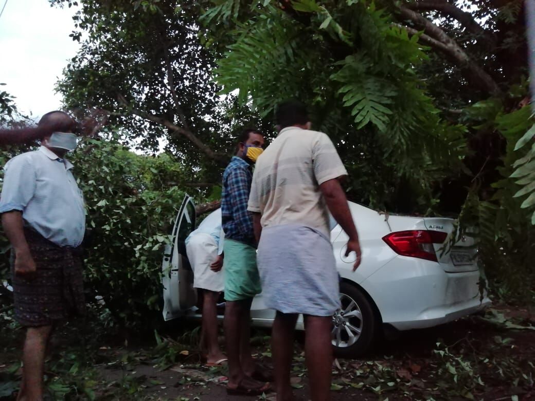 ഓടിക്കൊണ്ടിരുന്ന കാറിന് മുകളില്‍ കൂറ്റന്‍ മരക്കൊമ്പ് പൊട്ടിവീണ് കാറ് തകര്‍ന്നു; യാത്രക്കാര്‍ അത്ഭുതകരമായി രക്ഷപ്പെട്ടു