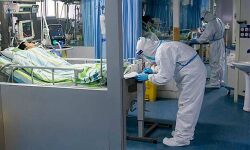 കൊവിഡ് 19: ഗുരുതരാവസ്ഥയിലുളള രോഗികളില് ഇന്ത്യ യുഎസ്സിനു തൊട്ടുതാഴെയെന്ന് റിപോര്ട്ട് കൊവിഡ് 19: ഗുരുതരാവസ്ഥയിലുളള രോഗികളില് ഇന്ത്യ യുഎസ്സിനു തൊട്ടുതാഴെയെന്ന് റിപോര്ട്ട്