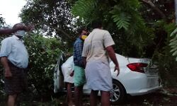 ഓടിക്കൊണ്ടിരുന്ന കാറിന് മുകളില്‍ കൂറ്റന്‍ മരക്കൊമ്പ് പൊട്ടിവീണ് കാറ് തകര്‍ന്നു; യാത്രക്കാര്‍ അത്ഭുതകരമായി രക്ഷപ്പെട്ടു