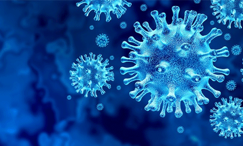 കൊവിഡ്: ഇതരസംസ്ഥാനത്തു നിന്ന് അരൂരില്‍ എത്തുന്ന ലോറി ജീവനക്കാര്‍ക്ക് ക്വാറന്റൈന്‍ സൗകര്യം ഒരുക്കണമെന്ന് വിവിധസംഘടനകള്‍