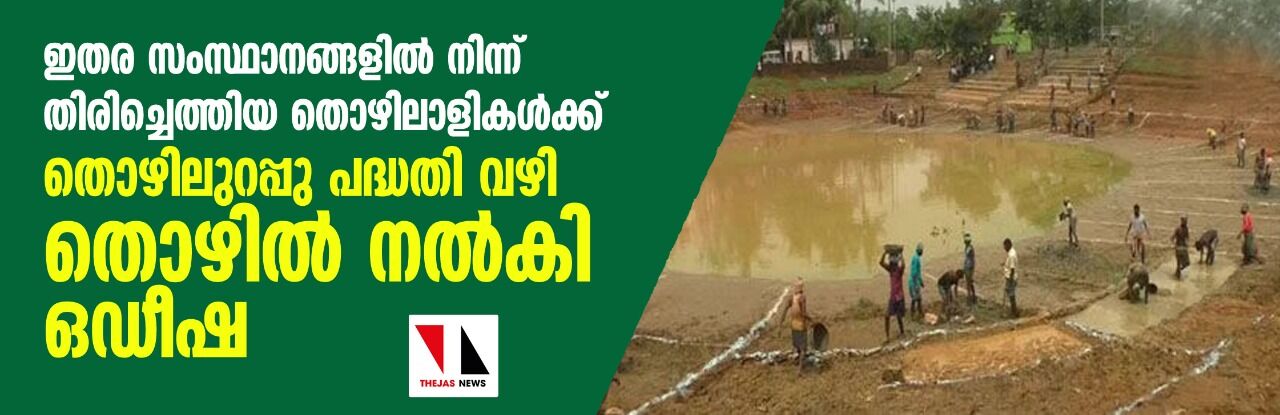 ഇതര സംസ്ഥാനങ്ങളില് നിന്ന് തിരിച്ചെത്തിയ തൊഴിലാളികള്ക്ക് തൊഴിലുറപ്പു പദ്ധതി വഴി തൊഴില് നല്കി ഒഡീഷ ഇതര സംസ്ഥാനങ്ങളില് നിന്ന് തിരിച്ചെത്തിയ തൊഴിലാളികള്ക്ക് തൊഴിലുറപ്പു പദ്ധതി വഴി തൊഴില് നല്കി ഒഡീഷ