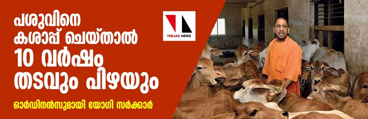 പശുവിനെ കശാപ്പ് ചെയ്താല്‍ 10 വര്‍ഷം തടവും പിഴയും;  ഓര്‍ഡിനന്‍സുമായി യോഗി സര്‍ക്കാര്‍