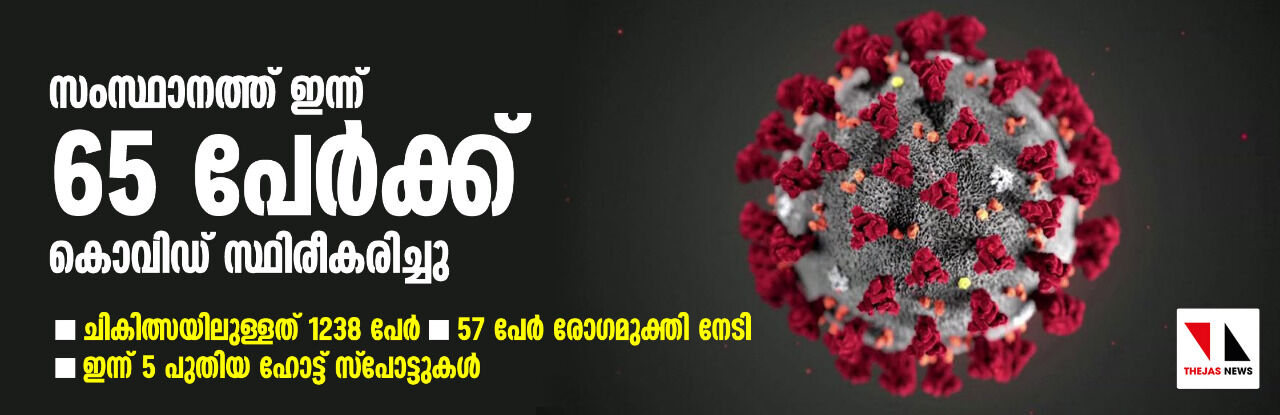 സംസ്ഥാനത്ത് ഇന്ന് 65 പേര്‍ക്ക് കൊവിഡ് സ്ഥിരീകരിച്ചു; ചികിത്സയിലുള്ളത് 1238 പേര്‍; 57 പേര്‍ രോഗമുക്തി നേടി; ഇന്ന് 5 പുതിയ ഹോട്ട് സ്പോട്ടുകള്‍