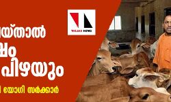 പശുവിനെ കശാപ്പ് ചെയ്താല്‍ 10 വര്‍ഷം തടവും പിഴയും;  ഓര്‍ഡിനന്‍സുമായി യോഗി സര്‍ക്കാര്‍