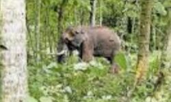 เดเดฑเดตเตเดฐเดฟเดฒเตเด เดเดพเดเตเดเดพเดจเดฏเต เดเตเดฒเดชเตเดชเตเดเตเดคเตเดคเดฟเดฏเดคเตเดจเตเดจเต เดตเดจเดเดตเดเตเดชเตเดชเต; เดฎเตเดจเตเดจเตเดชเตเตผ เดชเดฟเดเดฟเดฏเดฟเตฝ เดเดฑเดตเตเดฐเดฟเดฒเตเด เดเดพเดเตเดเดพเดจเดฏเต เดเตเดฒเดชเตเดชเตเดเตเดคเตเดคเดฟเดฏเดคเตเดจเตเดจเต เดตเดจเดเดตเดเตเดชเตเดชเต; เดฎเตเดจเตเดจเตเดชเตเตผ เดชเดฟเดเดฟเดฏเดฟเตฝ