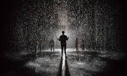 സംസ്ഥാനത്ത് ഇന്ന് ശക്തമായ മഴയ്ക്ക് സാധ്യത; 9 ജില്ലകളില്‍ യെല്ലോ അലര്‍ട്ട്