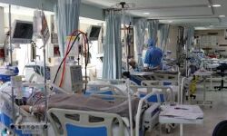 മലപ്പുറം ജില്ലയില്‍ 14 പേര്‍ക്ക് കൂടി കൊവിഡ് 19 സ്ഥിരീകരിച്ചു