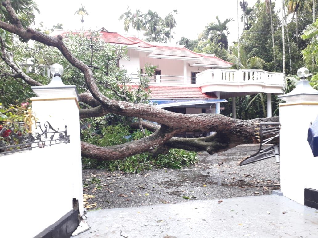 മാളയില്‍ കാറ്റിലും മഴയിലും വ്യാപക നഷ്ടം