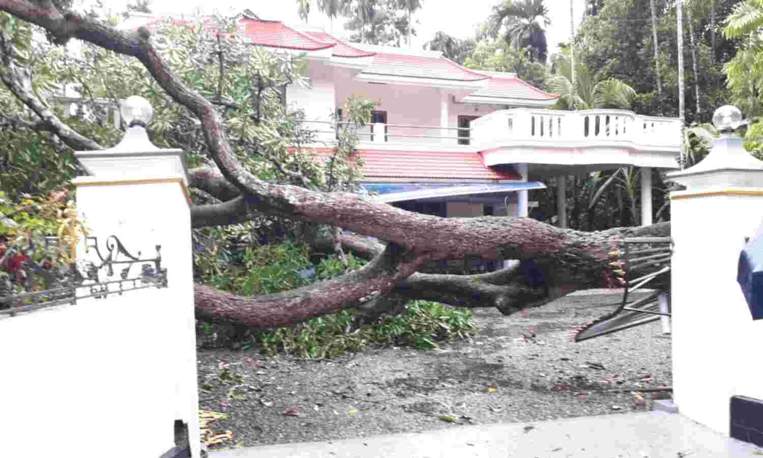 മാളയില് കാറ്റിലും മഴയിലും വ്യാപക നഷ്ടം മാളയില് കാറ്റിലും മഴയിലും വ്യാപക നഷ്ടം