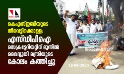 കെഎസ്ഇബിയുടെ തീവെട്ടിക്കൊള്ള; എസ്ഡിപിഐ സെക്രട്ടേറിയറ്റിന് മുന്നിൽ വൈദ്യുതി മന്ത്രിയുടെ കോലം കത്തിച്ചു