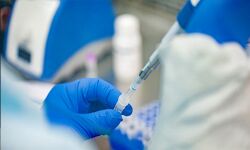 കൊവിഡ് 19: ഡല്‍ഹിയില്‍ 24 മണിക്കൂറിനുളളില്‍ രോഗം ബാധിച്ചത് 2,224 പേര്‍ക്ക്, ആകെ രോഗികള്‍ 41,182