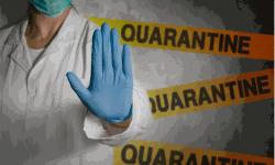 കൊവിഡ് 19:  കോഴിക്കോട് ജില്ലയില്‍ 11,574 പേര്‍ നിരീക്ഷണത്തില്‍;  പ്രവാസികള്‍ 3790