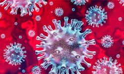 ടോസിലിസുമാബ് ചികില്‍സ;83കാരിക്ക് എറണാകുളം മെഡിക്കല്‍ കോളജില്‍ കൊവിഡ് രോഗമുക്തി