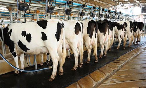 ക്ഷീര കര്‍ഷകര്‍ക്ക് നാല് ശതമാനം  പലിശ നിരക്കില്‍ വായ്പ