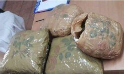 വന്‍ കഞ്ചാവ് വേട്ട; ആന്ധ്രയില്‍നിന്നും കോട്ടയത്തേക്ക് കടത്തികൊണ്ടുവന്ന 60 കിലോ കഞ്ചാവ് പിടികൂടി