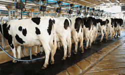 ക്ഷീര കര്‍ഷകര്‍ക്ക് നാല് ശതമാനം  പലിശ നിരക്കില്‍ വായ്പ