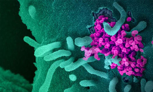 മലപ്പുറം ജില്ലയില്‍ 15 പേര്‍ കൂടി കൊവിഡ് വിമുക്തരായി