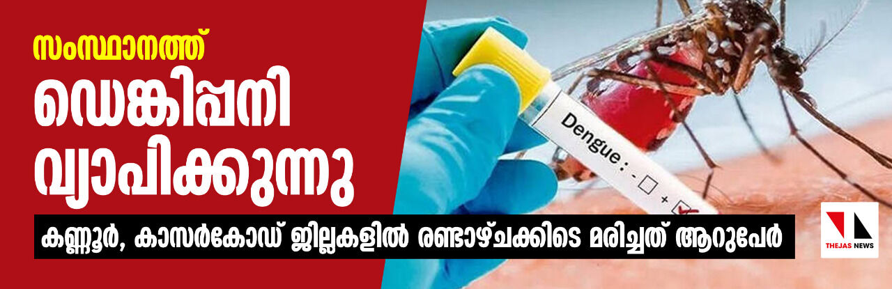 സംസ്ഥാനത്ത് ഡെങ്കിപ്പനി വ്യാപിക്കുന്നു; രണ്ട് ജില്ലകളില് രണ്ടാഴ്ചക്കിടെ മരിച്ചത് ആറുപേർ സംസ്ഥാനത്ത് ഡെങ്കിപ്പനി വ്യാപിക്കുന്നു; രണ്ട് ജില്ലകളില് രണ്ടാഴ്ചക്കിടെ മരിച്ചത് ആറുപേർ
