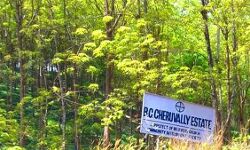 ശബരിമല വിമാനത്താവളം: ചെറുവള്ളി എസ്റ്റേറ്റ് ഏറ്റെടുത്ത് സർക്കാർ ഉത്തരവിറങ്ങി