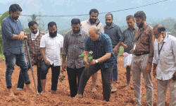 പത്തേക്കറില്‍ പച്ചക്കറി കൃഷിയുമായി ശാന്തപുരം അല്‍ ജാമിഅ