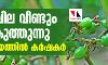 ഏലം വില വീണ്ടും കൂപ്പുകുത്തുന്നു; കണ്ണീര്‍ക്കയത്തില്‍ കര്‍ഷകര്‍