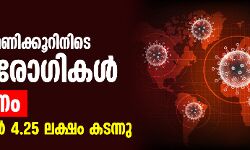 കൊവിഡ്: രാജ്യത്ത് 24 മണിക്കൂറിനിടെ 14,821 രോഗികള്‍; 445 മരണം; രോഗബാധിതര്‍ 4.25 ലക്ഷം കടന്നു