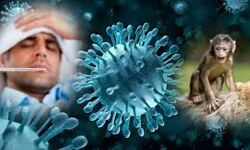 കൊവിഡിനും കുരങ്ങു പനിക്കും എലിപ്പനിക്കുമിടയില് ചെള്ള് പനിയും; വയനാട്ടില് വീട്ടമ്മ മരിച്ചു കൊവിഡിനും കുരങ്ങു പനിക്കും എലിപ്പനിക്കുമിടയില് ചെള്ള് പനിയും; വയനാട്ടില് വീട്ടമ്മ മരിച്ചു