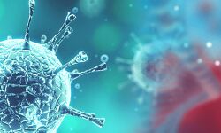 മലപ്പുറം ജില്ലയില്‍ ഇതുവരെ കൊവിഡ് സ്ഥിരീകരിച്ചത് 379 പേര്‍ക്ക്, ഇപ്പോള്‍ ചികില്‍സയിലുള്ളത് 197 പേര്‍