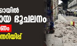 മെക്‌സിക്കോയില്‍ ശക്തമായ ഭൂചലനം; അഞ്ചുമരണം, സുനാമി മുന്നറിയിപ്പ്