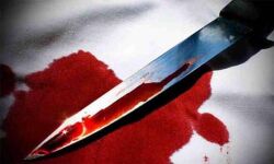 പാലക്കാട് ഏഴുവയസുകാരനെ മാതാവ് കുത്തിക്കൊന്നു