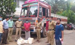 പെരിന്തല്‍മണ്ണയില്‍ 16 കിലോ കഞ്ചാവ് പിടികൂടി