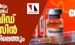 പ്രതീക്ഷിച്ചതിലും ഒരു മാസം മുന്‍പ് കൊവിഡ് വാക്‌സിന്‍ വിപണിയിലെത്തും