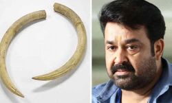 ആനക്കൊമ്പ് കേസ്: മോഹന്‍ലാലിനെ അനുകൂലിച്ച് സര്‍ക്കാര്‍ കോടതിയില്‍; കേസ് ജൂലൈ 24 ലേക്ക് മാറ്റി