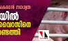 അതിവേഗം പകരാന്‍ സാധ്യത :    ചൈനയില്‍ മറ്റൊരു വൈറസിനെ കൂടി കണ്ടെത്തി