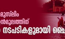 വൈഗൂര്‍ മുസ്‌ലിം വംശീയ ഉന്മൂലനത്തിന് കടുത്ത നടപടികളുമായി ചൈന