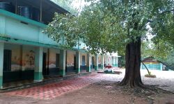 മാളയിലെ സര്‍ക്കാര്‍ വിദ്യാലയങ്ങള്‍ക്ക് മികച്ച വിജയം