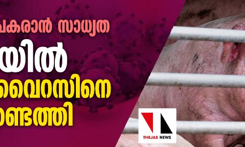 അതിവേഗം പകരാന്‍ സാധ്യത :    ചൈനയില്‍ മറ്റൊരു വൈറസിനെ കൂടി കണ്ടെത്തി