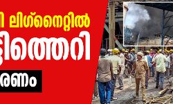 നെയ്‌വേലി ലിഗ്ന്‌നൈറ്റില്‍ പൊട്ടിത്തെറി : ആറു മരണം