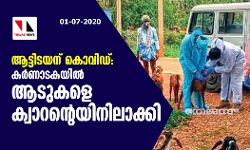 ആട്ടിടയന് കൊവിഡ്: കര്ണാടകയില് ആടുകളെ ക്വാറന്റെയിനിലാക്കി ആട്ടിടയന് കൊവിഡ്: കര്ണാടകയില് ആടുകളെ ക്വാറന്റെയിനിലാക്കി