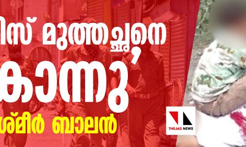 പോലിസ് മുത്തച്ഛനെ കൊന്നു -കശ്മീര്‍ ബാലന്‍ (വീഡിയോ)