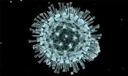 സമ്പര്‍ക്കത്തിലൂടെയും ഉറവിടമറിയാത്തതുമായ കൊവിഡ് കേസുകള്‍ വര്‍ധിച്ചു; നിലപാട് കടുപ്പിച്ച് തിരുവനന്തപുരം നഗരസഭ