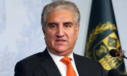 പാക് വിദേശകാര്യ മന്ത്രിക്ക് കൊവിഡ് പാക് വിദേശകാര്യ മന്ത്രിക്ക് കൊവിഡ്