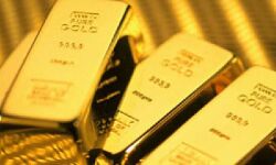 തിരുവനന്തപുരത്തേക്ക് എത്തിയ ഡിപ്ലോമാറ്റിക് ബാഗേജിൽ വൻതോതിൽ സ്വർണം കണ്ടെത്തി