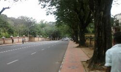 ട്രിപ്പിള്‍ ലോക്ക് ഡൗണ്‍: തലസ്ഥാനത്തെ റോഡുകള്‍ അടച്ചു