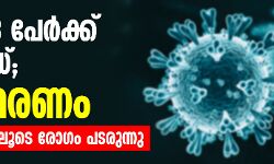 เดเดจเตเดจเต 193 เดชเตเดฐเตโเดเตเดเต เดเตเดตเดฟเดกเต; เดฐเดฃเตเดเต เดฎเดฐเดฃเด - เดธเดฎเตเดชเดฐเตโเดเตเดเดคเตเดคเดฟเดฒเตเดเต เดฐเตเดเด เดชเดเดฐเตเดจเตเดจเดคเต เดตเดฐเตโเดฆเตเดงเดฟเดเตเดเต เดเดจเตเดจเต 193 เดชเตเดฐเตโเดเตเดเต เดเตเดตเดฟเดกเต; เดฐเดฃเตเดเต เดฎเดฐเดฃเด - เดธเดฎเตเดชเดฐเตโเดเตเดเดคเตเดคเดฟเดฒเตเดเต เดฐเตเดเด เดชเดเดฐเตเดจเตเดจเดคเต เดตเดฐเตโเดฆเตเดงเดฟเดเตเดเต