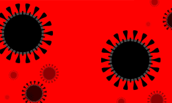 കോഴിക്കോട് 15 പേര്‍ക്ക് കൊവിഡ്;  10 വയസ്സുകാരന്‍ ഉള്‍പ്പടെ ആറ് പേര്‍ക്ക് സമ്പര്‍ക്കത്തിലൂടെ രോഗം