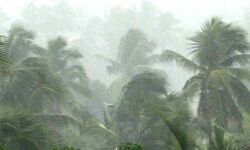 മഴ: എറണാകുളം ജില്ലയില് കണ്ട്രോള് റൂമുകള് പ്രവര്ത്തനമാരംഭിച്ചു മഴ: എറണാകുളം ജില്ലയില് കണ്ട്രോള് റൂമുകള് പ്രവര്ത്തനമാരംഭിച്ചു