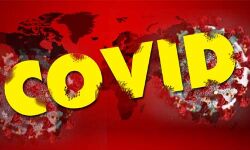 കൊവിഡ് വ്യാപനം: പാലാ മരിയസദനം ഇന്സ്റ്റിറ്റിയൂഷനല് ക്ലസ്റ്ററായി; കോട്ടയം ജില്ലയില് നാല് പുതിയ കണ്ടെയ്ന്മെന്റ് സോണുകള് കൊവിഡ് വ്യാപനം: പാലാ മരിയസദനം ഇന്സ്റ്റിറ്റിയൂഷനല് ക്ലസ്റ്ററായി; കോട്ടയം ജില്ലയില് നാല് പുതിയ കണ്ടെയ്ന്മെന്റ് സോണുകള്