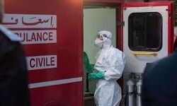 കൊവിഡ്: കുവൈത്തില് മൂന്ന് മരണം കൂടി; 833 പുതിയ കേസുകള് കൊവിഡ്: കുവൈത്തില് മൂന്ന് മരണം കൂടി; 833 പുതിയ കേസുകള്