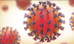 കൊവിഡ്: ചെറിയനാട് ഒരു വീട്ടിലെ രണ്ടു പേര്‍ക്ക് രോഗം; വാര്‍ഡ് നമ്പര്‍ 4 ല്‍ റസിഡന്‍ഷ്യല്‍ കണ്ടെയ്ന്‍മെന്റ് സോണ്‍